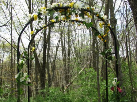 321443_10151575220238934_180327430_n