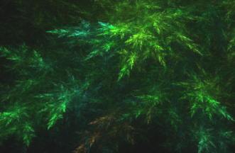 elements-earth-small