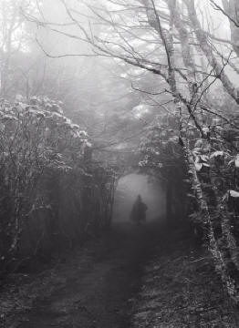 into-the-faerie-wood_src_1